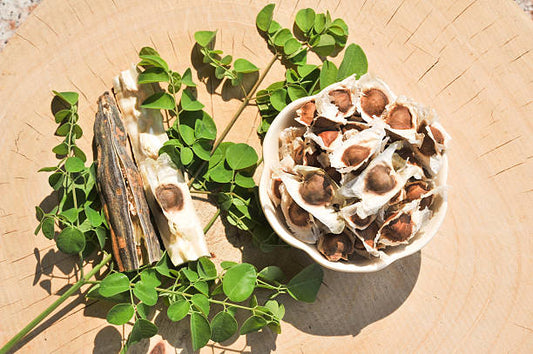 Not just moringa leaves, moringa seeds also deserve a spot on your plate